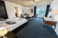 Dolphin Hotel Herning