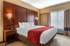 Comfort Suites Manheim - Lancaster