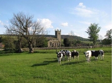 Aln Valley Cottages