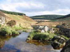 Aln Valley Cottages