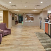 Hampton Inn & Suites Murrieta Temecula