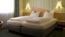 Hotel Gasthof zur Windmuhle