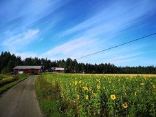 Maatilamatkailu Ilomaki