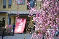 Hiraizumi Hot Spring Ryokan Soba'an Shizukatei