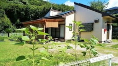 Kitchen Garden