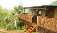 Misty Mountain Reserve