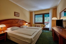 Hotel Lover Sopron