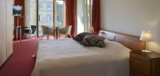 Hotel Saratz Pontresina