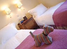 Ilsington Country House Hotel & Spa