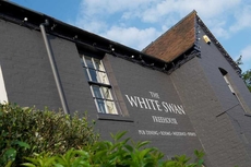 The White Swan