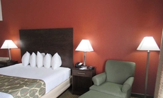 Best Western Executive Inn