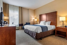 Comfort Inn Apalachin / Binghamton W Route 17