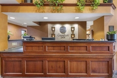 Comfort Inn Okemos - East Lansing