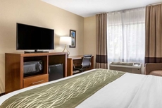 Comfort Inn Okemos - East Lansing