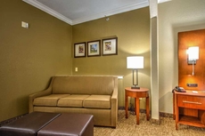 Comfort Suites Tomball Medical Center