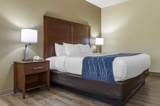 Comfort Inn & Suites High Point  Archdale