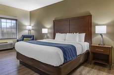 Comfort Inn & Suites High Point  Archdale