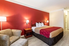 Econo Lodge Inn & Suites