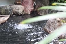 Obama Onsen Tsutaya Ryokan