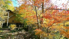 Nurukawa Onsen