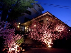 Iwashita Onsen Ryokan