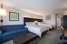 Holiday Inn Express & Suites Chicago - Hoffman Estates, an IHG Hotel