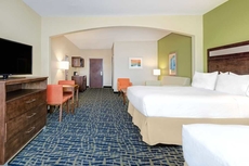 Holiday Inn Express Hotel & Suites Monahans - I-20, an IHG Hotel