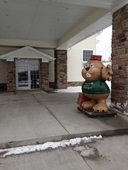 Cobblestone Hotel & Suites - Punxsutawney