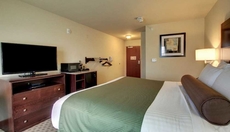 Cobblestone Inn & Suites - Harvey