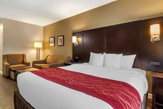 Comfort Inn & Suites near Six Flags