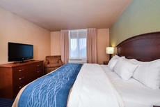 Comfort Inn Albert Lea