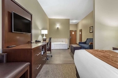 Comfort Suites Bridgeport - Clarksburg