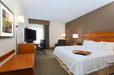 Hampton Inn Decatur/Forsyth