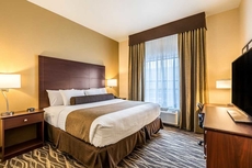 Cobblestone Hotel & Suites - Hartford