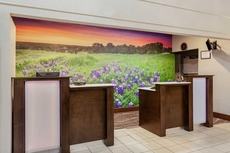 La Quinta Inn & Suites by Wyndham Kerrville