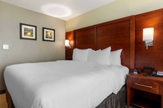 Comfort Inn & Suites Euless DFW West