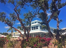 Dolphin Point Villas