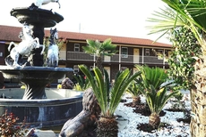 Savannah Inn and Suites