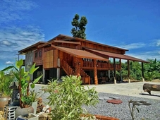 ModernLoft Homestay