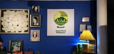 La Vida Hostel