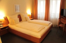 Hotel Blauer Wolf