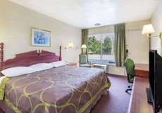 Ashland Studio Inn By OYO Richmond North near Kings Dominion