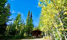 Carlo Creek Cabins - Campsite