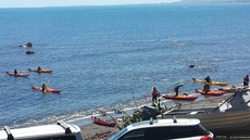 Kapiti Waves Beach Retreat