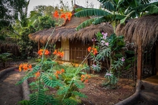 Banyan Tree Yoga