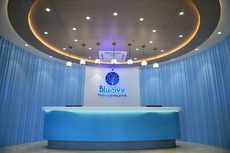 Hotel Blueivy