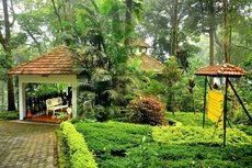 The Tall Trees Munnar