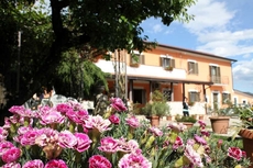 B&B Casale Shanti