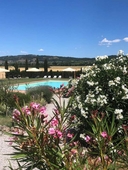 Country House Girasole Crete Senesi Vakantie Huis