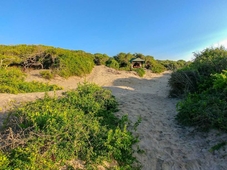 Back of Beyond Dune Camp - Yala